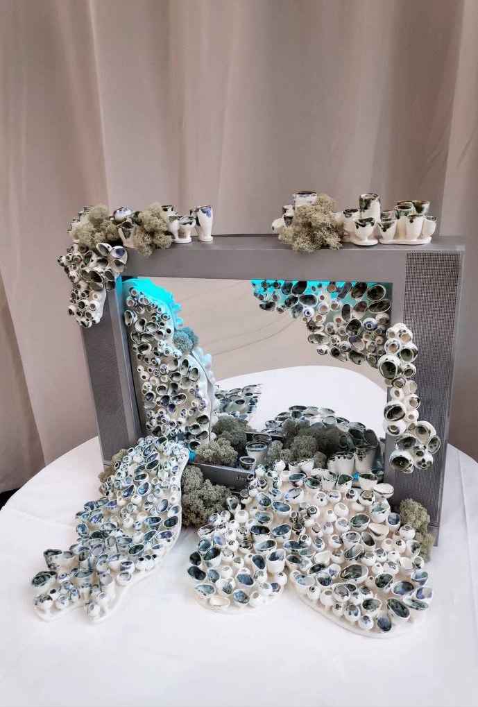 Instalación Todo se llena de hongos